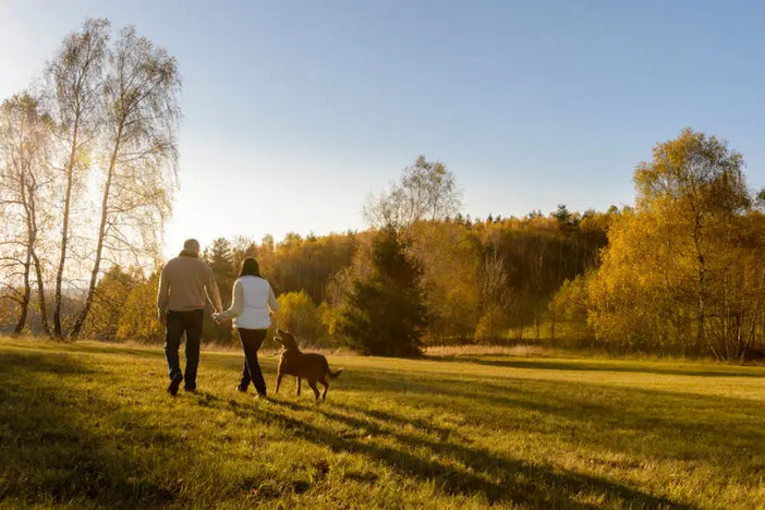 4 Reasons Why Type 2s Should Start a Walking Plan!