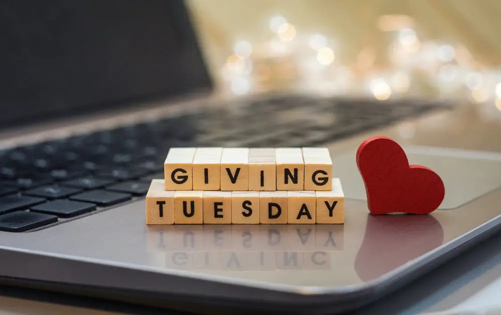 Giving Tuesday: give to yourself when you give to type 2’s!