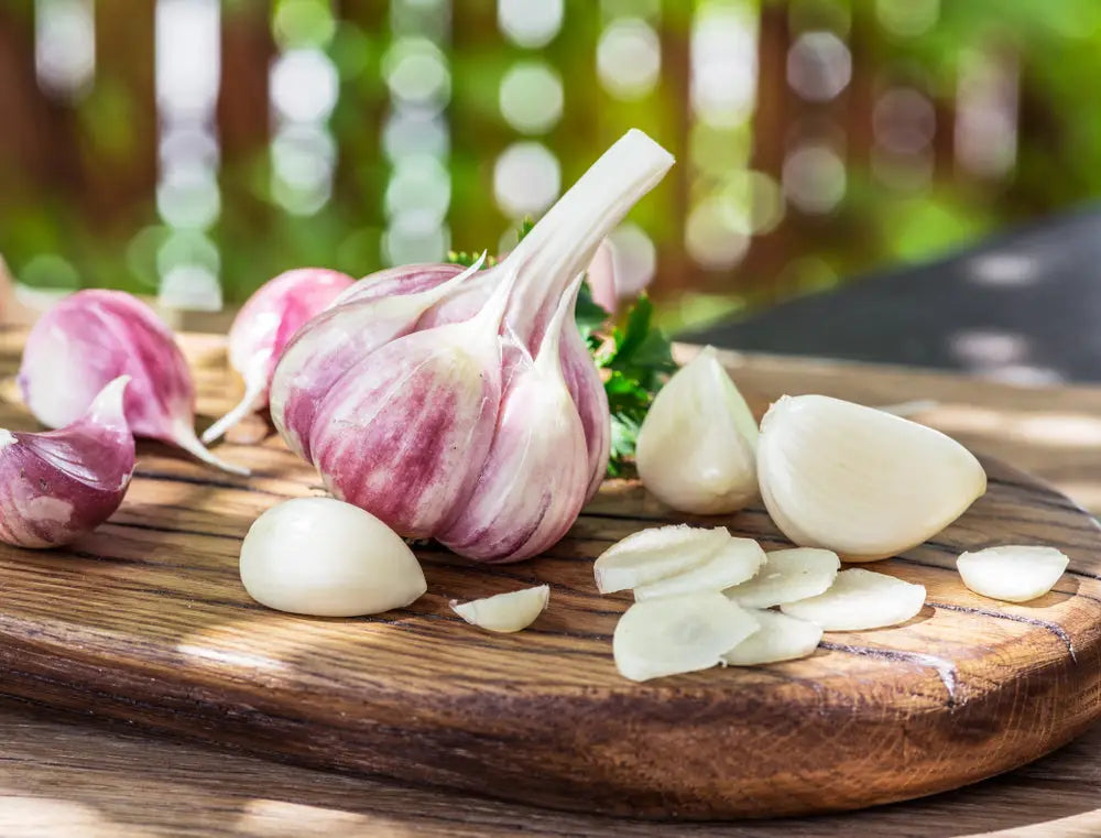 National Garlic Day: Then And Now of Garlic