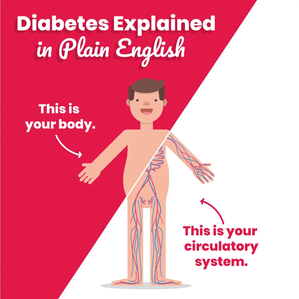 What is  TYPE 2 DIABETES in Plain English