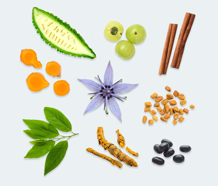 An assortment of colorful natural ingredients, including bitter melon, amla, cinnamon, turmeric, fenugreek, ashwagandha, and more.